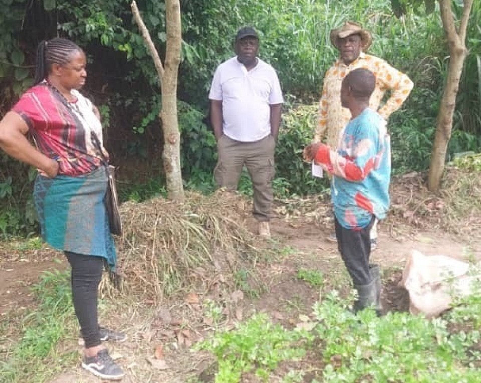 Visite sur le terrain pendant une incubation